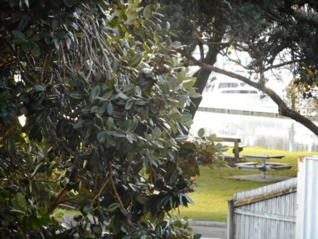 Apartment By The Marina Whitianga Eksteriør billede